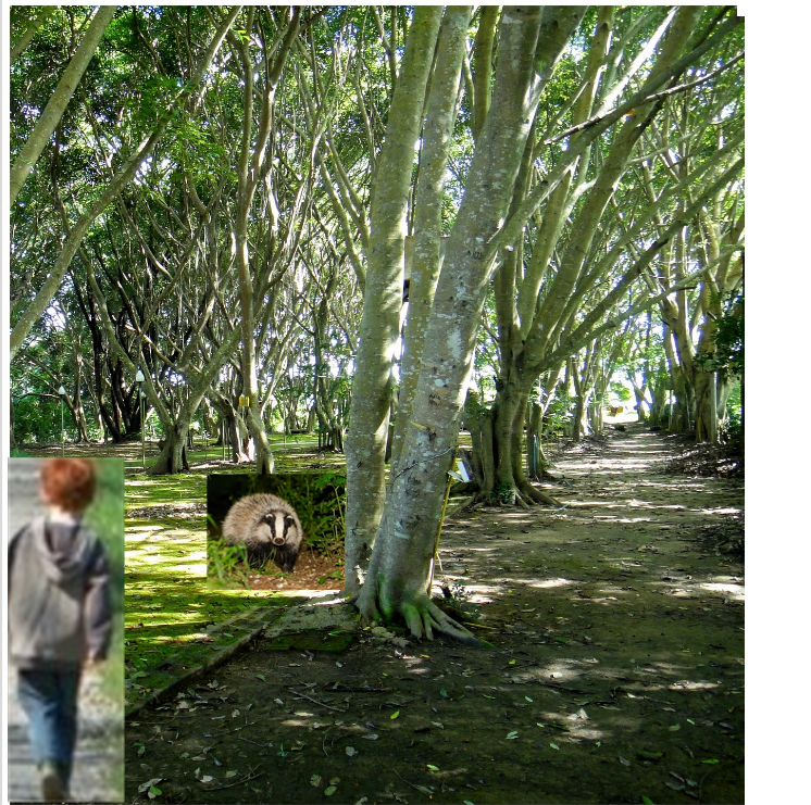 la rencontre allan w eckert